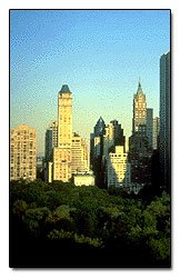 Central Park view