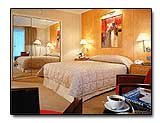 Sofitel room